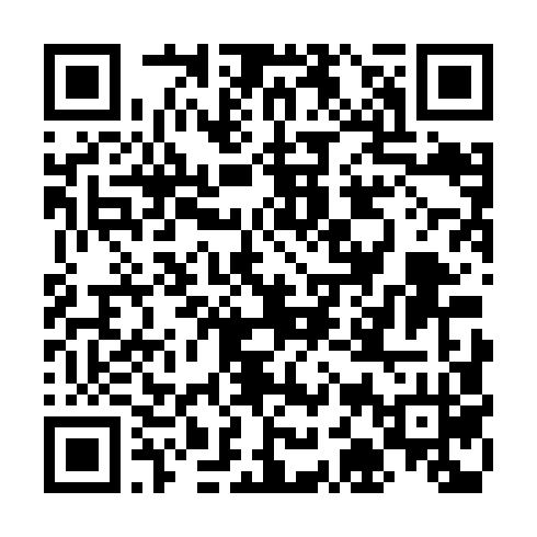 QR Code Pix de R$ 95,00 para Relatório DISC · Perfil Básico